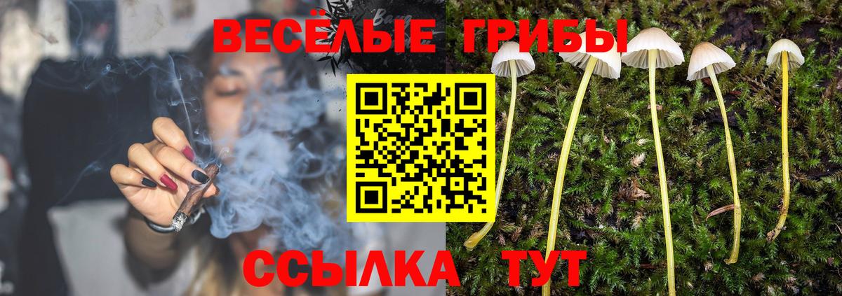 Псилоцибиновые грибы ЛСД  Вход с VPN  Оренбург 